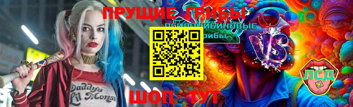 Псилоцибиновые грибы Psilocybine cubensis Павлово