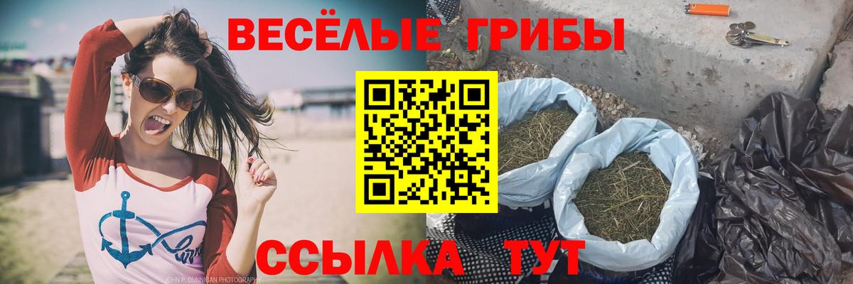 Псилоцибиновые грибы Psilocybine cubensis  Псилоцибиновые грибы Cubensis  Вход с VPN  Павлово 