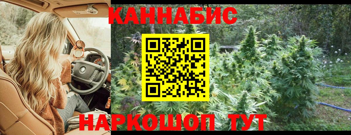 Марихуана конопля  Бошки Шишки семена  Павлово  Канабис White Widow  Канабис план  Вход с VPN 